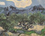 Vincent Van Gogh Olive Trees with the Alpilles in the Background (nn04) oil painting reproduction